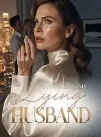 Divorcing My Lying Husband Novel Cover