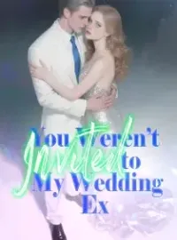 You Weren’t Invited to My Wedding, Ex! Novel Cover