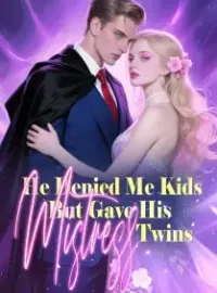 He Denied Me Kids, But Gave His Mistress Twins Novel Cover