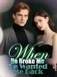 When He Broke Me, He Wanted Me Back Novel Cover