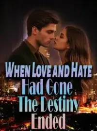 When Love and Hate Had Gone, The Destiny Ended Novel Cover