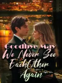 Goodbye,May We Never See Each Other Again Novel Cover
