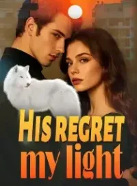 His Regret, My Light Novel Cover