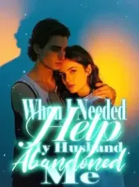 When I Needed Help, My Husband Abandoned Me Novel Cover
