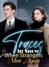 Traces in Snow When Strangers Meet Again Novel Cover