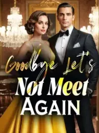 Goodbye, Let's Not Meet Again Novel Cover