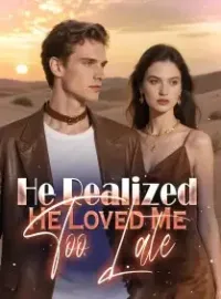 He Realized He Loved Me Too Late Novel Cover