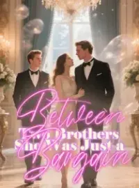 Between Two Brothers, She Was Just a Bargain Novel Cover
