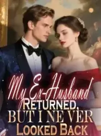 My Ex-Husband Returned, But I Ne ver Looked Back Novel Cover