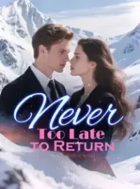 Never Too Late to Return Novel Cover