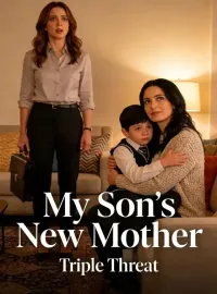 My Son's New Mother Novel Cover