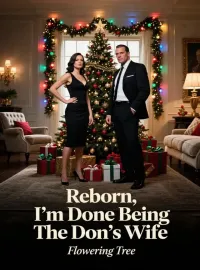 Reborn, I’m Done Being The Don’s Wife Novel Cover
