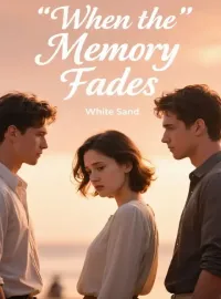 When the Memory Fades Novel Cover