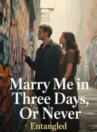 Marry Me in Three Days, Or Never Novel Cover