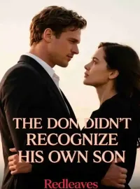 The Don Didn't Recognize His Own Son Novel Cover