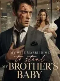 My Wife Married Me to Steal My Brother's Baby Novel Cover