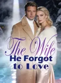 The Wife He Forgot to Love Novel Cover