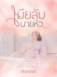 ภาพปกนิยาย เมียลับนายหัว