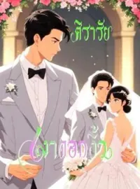 ภาพปกนิยาย เงาดอกงิ้ว