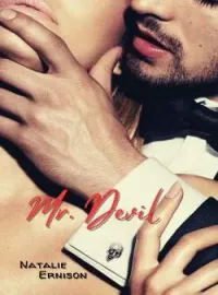 Sampul Novel Mr. Devil