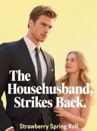 The Househusband Strikes Back Novel Cover