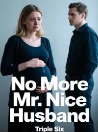 No More Mr. Nice Husband Novel Cover