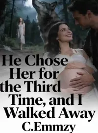 He Chose Her for the Third Time, and I Walked Away Novel Cover