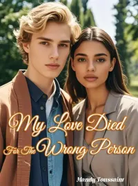 My Love Died For The Wrong Person Novel Cover