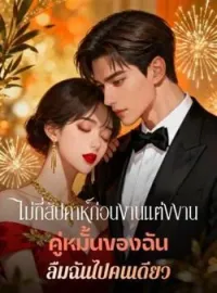 ภาพปกนิยาย ไม่กี่สัปดาห์ก่อนงานแต่งงาน คู่หมั้นของฉัน ลืมฉันไปคนเดียว