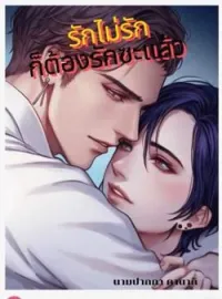 ภาพปกนิยาย รักไม่รักก็ต้องรักซะแล้ว