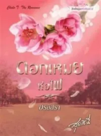 ภาพปกนิยาย ดอกเหมยห่อไฟ