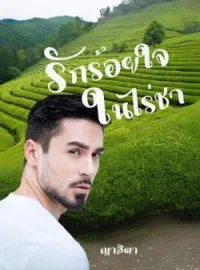 ภาพปกนิยาย รักร้อยใจในไร่ชา