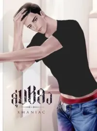 ภาพปกนิยาย ลุ่มหลง