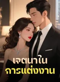 ภาพปกนิยาย เจตนาในการแต่งงาน
