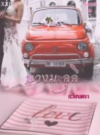 ภาพปกนิยาย บ่วงมะลุลี