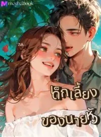 ภาพปกนิยาย เด็กเลี้ยงของนายหัว