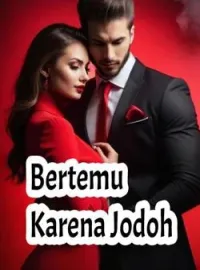 Sampul Novel Bertemu Karena Jodoh