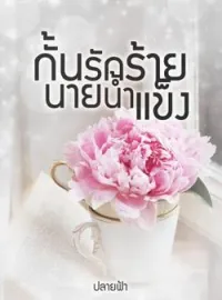 ภาพปกนิยาย กั้นรักร้ายนายน้ำแข็ง