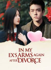 In My Ex's Arms Again After Divorce
