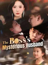 The Boss's Mysterious Husband