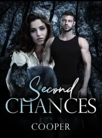 Second Chances Novel Cover