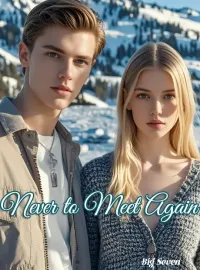 Never to Meet Again Novel Cover