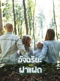 ภาพปกนิยาย อัจฉริยะฝาแฝด