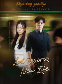 Last Divorce, New Life