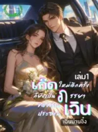 ภาพปกนิยาย เกิดใหม่อีกครั้งก็ยังเป็นภรรยาของท่านประธานเฉิน