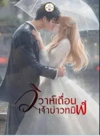 ภาพปกนิยาย วิวาห์เถื่อน เจ้าบ่าวทมิฬ