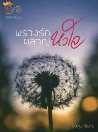 ภาพปกนิยาย พรางรักผลาญหัวใจ