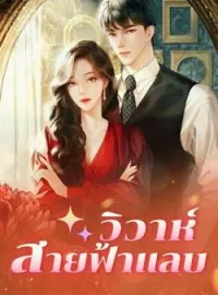 ภาพปกนิยาย วิวาห์สายฟ้าแลบ
