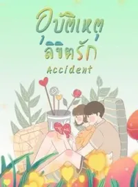 ภาพปกนิยาย อุบัติเหตุลิขิตรัก