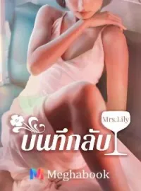 ภาพปกนิยาย บันทึกลับ